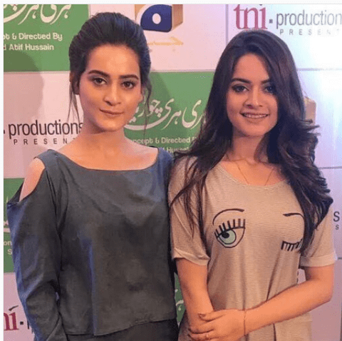 Cast Of Drama Serial 'Hari Hari Choriyan' Meets Press