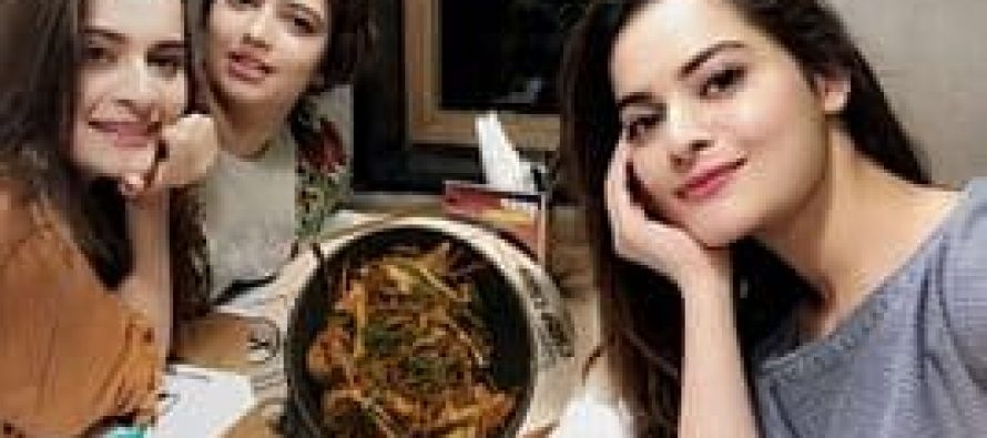 Aiman Khan, Hanish Qureshi and Minal Khan Spotted in a Restaurant