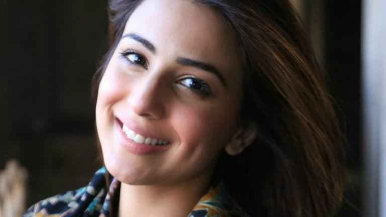 Ushna Shah Wants To Do A Film With Which Actor?