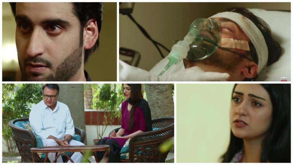 Tumhare Hain Episodes 15-26 Review - The End!