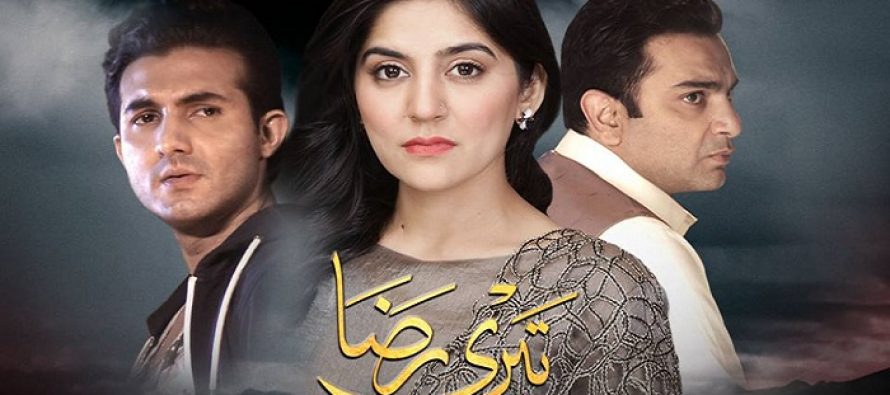 Teri Raza Episode 12 Review – Biggest Blunder of 2017!