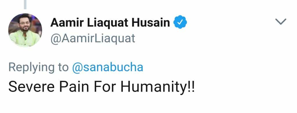 Sana Bucha's Twitter Feud With Waqar Zaka And Amir Liaquat!
