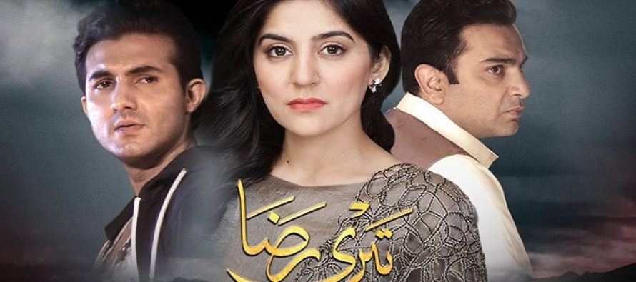 Teri Raza Episode 18 Review – Ridiculous!