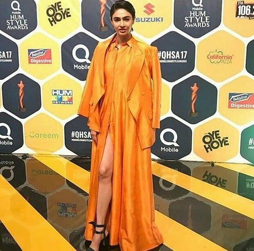 Hum Style Awards-Worst Dressed Celebrities!