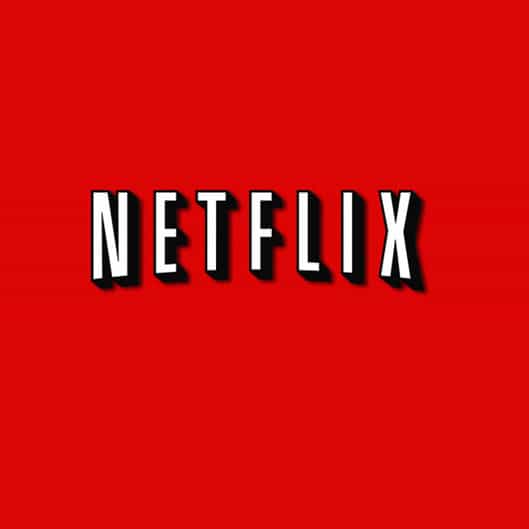 02 netflix logo.w529.h529