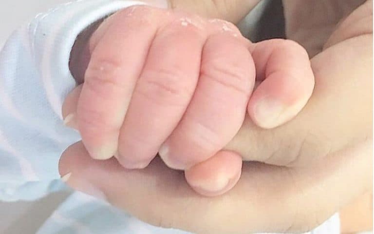 Shake Hands With The Newest Arrival In Town