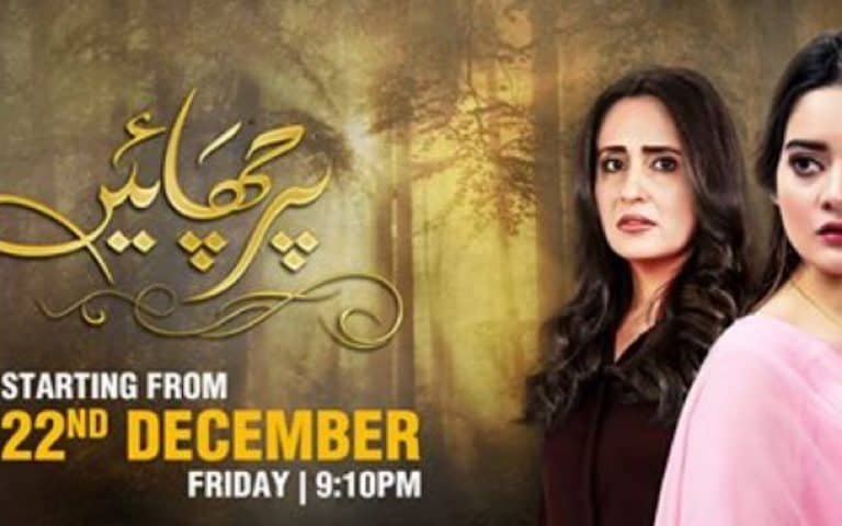 Teasers Of Parchayee Tell A Promising Story
