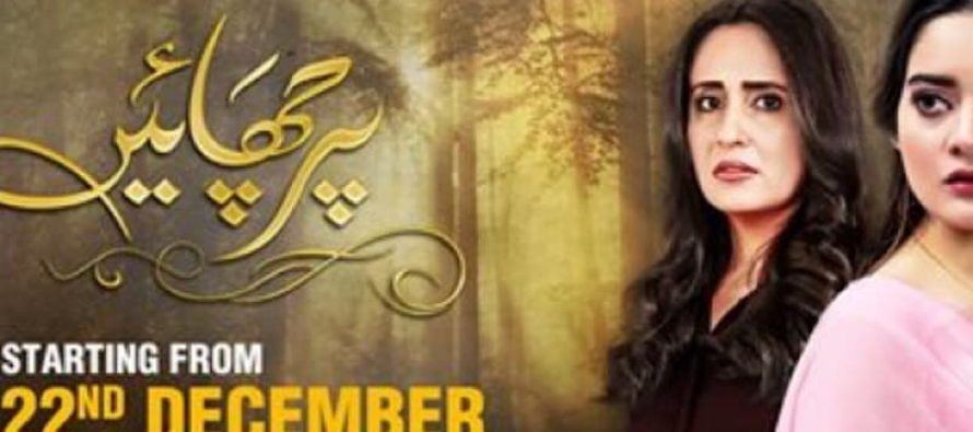 Teasers Of Parchayee Tell A Promising Story