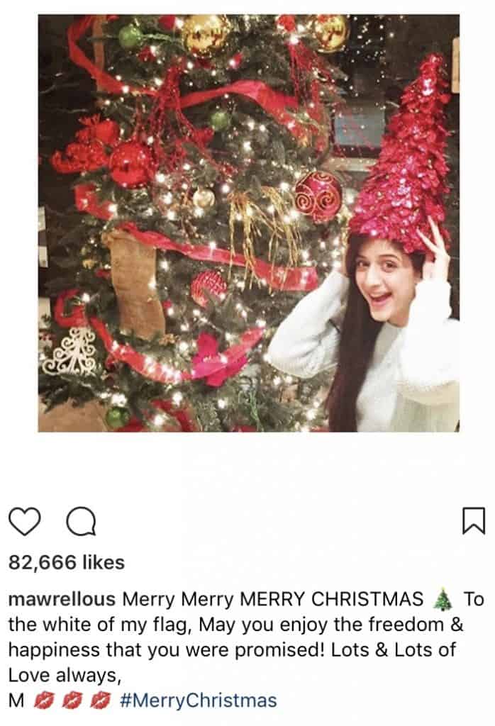 Celebrities Enjoy Christmas 2017