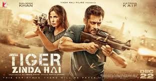 Tiger Zinda Hai Banned In Pakistan!