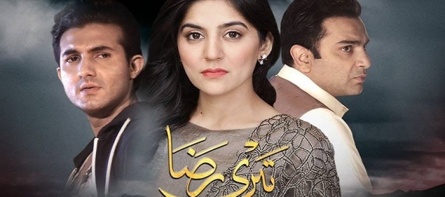 Teri Raza Episode 29 Review – Ridiculous!