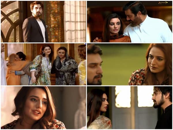 Shayyad Episode 13 Review - True Love Never Dies!