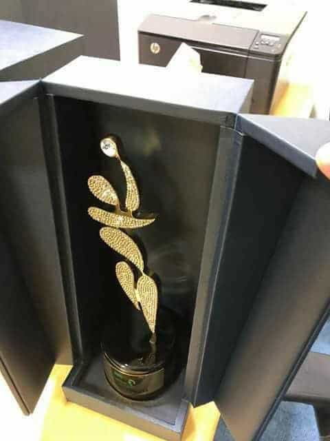 PSL3 Trophy Unveiled