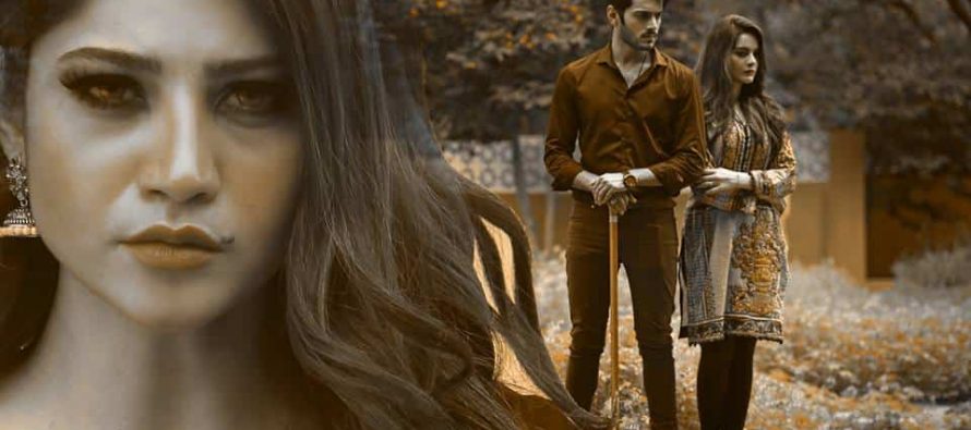 Dil Nawaz Episode 21 And 22 Review-Winding Up!