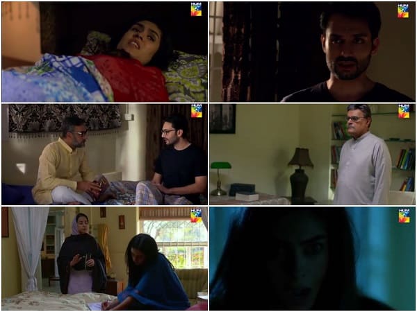 Bela Pur Ki Dayan Episode 14 Review - Interesting Developments