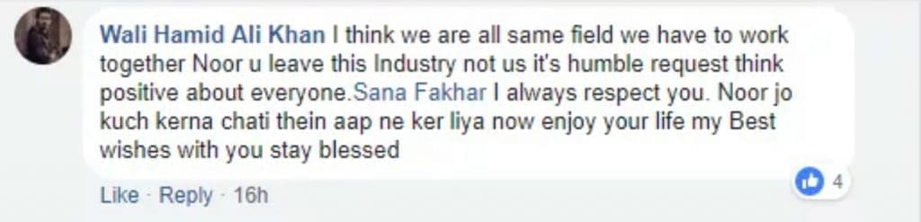 Something Is Fishy Between Sana Fakhr And Noor Bukhari!