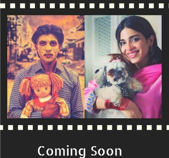 Mohsin Abbas And Sonya Hussyn To Star Together!