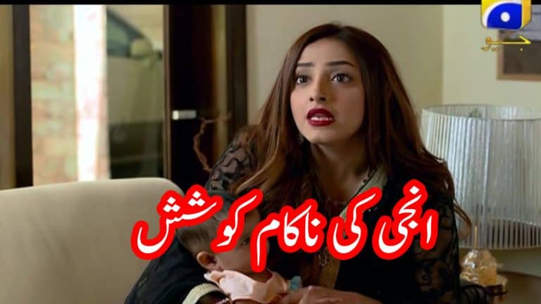 Ghar Titli ka Par Episode 18 | Voice Review | Anji ki Nakaam Koshish
