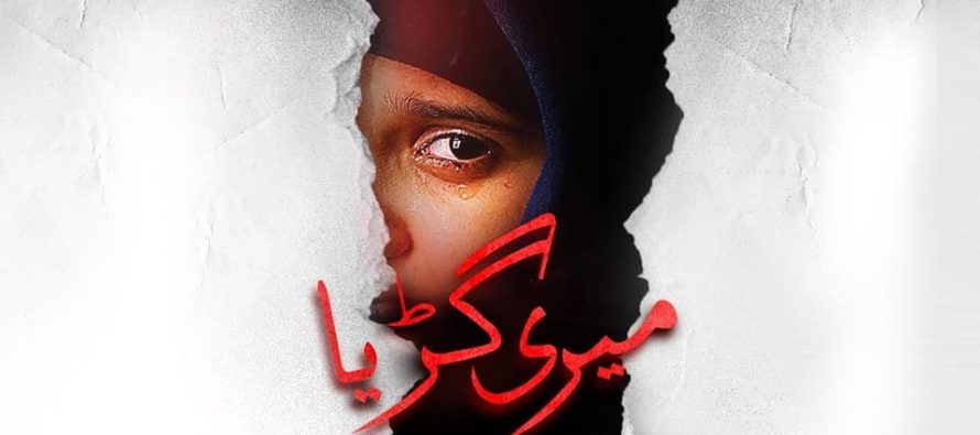 Meri Guriya Is Coming Soon On ARY Digital!