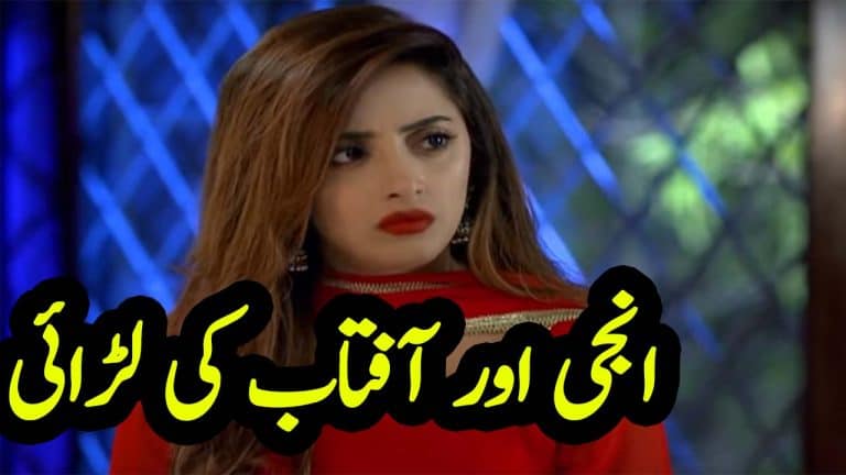Ghar Titli ka Par Episode 22 Urdu Review | Anji ki aftab se larai
