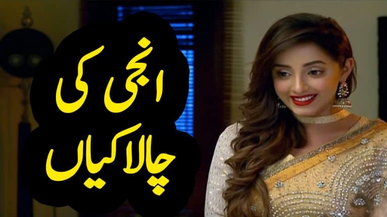 Ghar Titli Ka Par Episode 21 Full Story Audio Review In Urdu