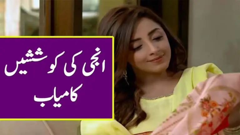 Ghar Titli Ka Par episode 23 Full Story Review in Urdu Voice