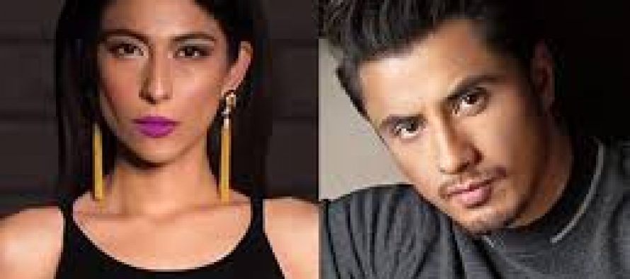 Meesha-Ali Case Moves Forward!