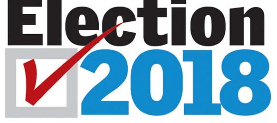 Celebrities Support Their Favourites For Election 2018!