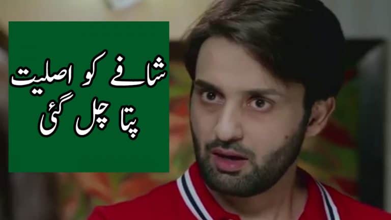 Watch Bay Dardi Episode 16 -17 Full Story Review in Urdu