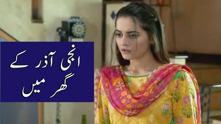 Watch Ghar Titli Ka Par Episode 26 Full Story Review in Urdu