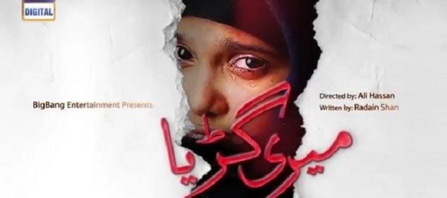 Meri Gurya Episodes 5 & 6 Review – Realistic and Gripping