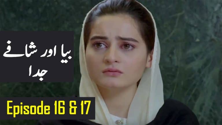 Bay Dardi Episode 16 & 17 Full Story Audio Review