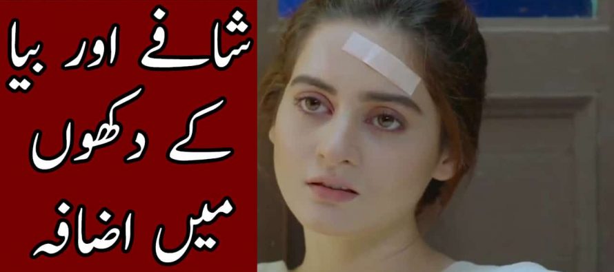 Bay Dardi – Episode 24 – 25 Full Audio Story Review in Urdu – Shafay Aur Bia ke Dukhoon Main Izafa