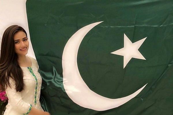 Celebrities Celebrate Independence Day With Zeal And Passion!