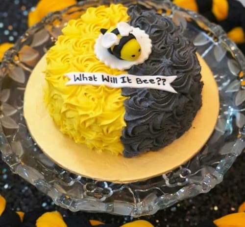 Fatima Effendi Got A Bee Themed Baby Shower!