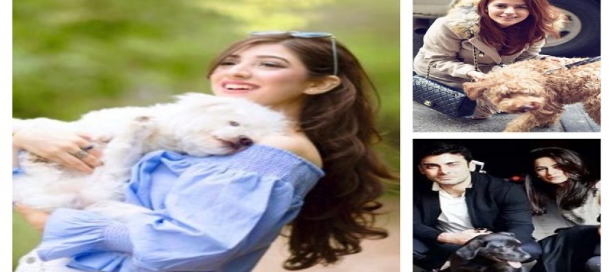 Pakistani Celebrities With Their Pets