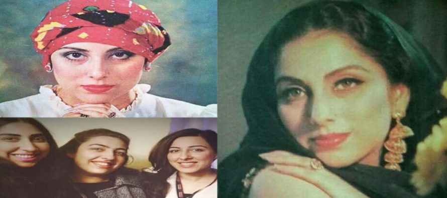 Samina Peerzada’s Life & Family