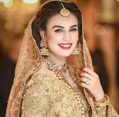 Pakistani Celebrity Weddings 2018 - New List