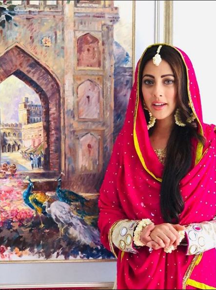 Ainy Jaffri Rehman Stuns In A Pure Desi Look