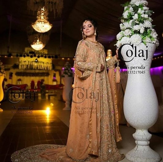 Sara Razi Khan Walima Professional Photoshoot