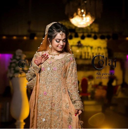 Sara Razi Khan Walima Professional Photoshoot