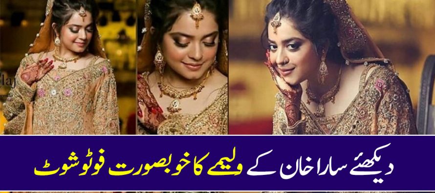 Sara Razi Khan Walima Professional Photoshoot