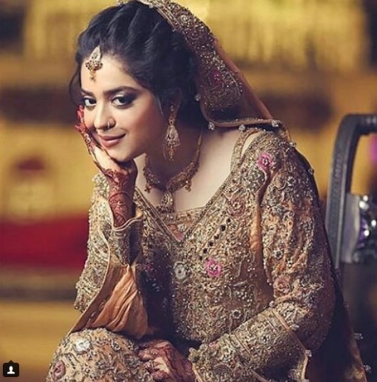 Sara Razi Khan Walima Professional Photoshoot