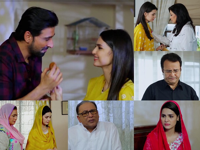 Woh Mera Dil Tha Last Episode Story Review - Gratifying