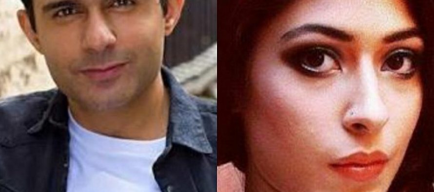 Sonia Mishal And Hamza Firdous In A New Drama