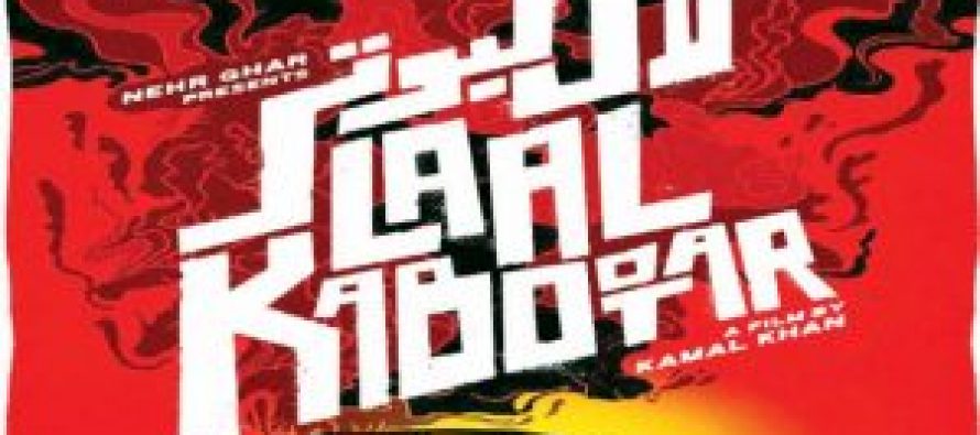 Everything You Need To Know About Laal Kabootar