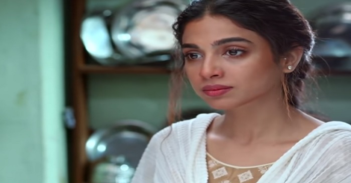 Best On-Screen Characters of Pakistani Dramas 2018