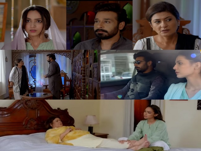 Baba Jani Episode 15 Story Review - Reality Checks