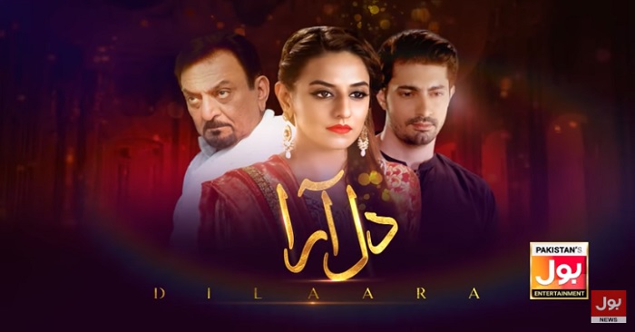 Dil Aara Episode 2 Story Review - Money Can't Buy Happiness