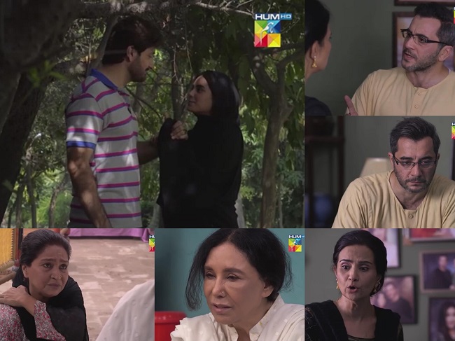 Ranjha Ranjha Kardi Episode 5 Story Review - Brilliant & Beautiful